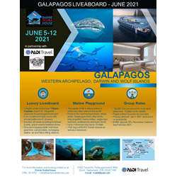 Trip Of A Lifetime To The Galapagos 2021!